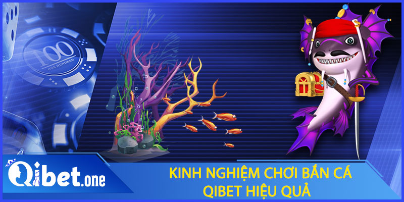 Kinh nghiệm chơi bắn cá Qibet hiệu quả