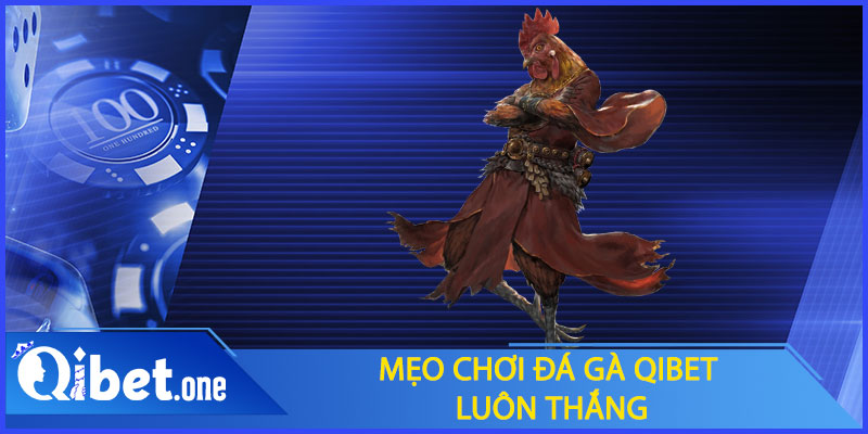 Mẹo chơi đá gà Qibet luôn thắng
